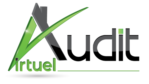 Audit Virtuel